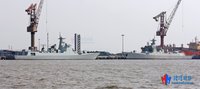 乌鸦森林游戏九游版下载